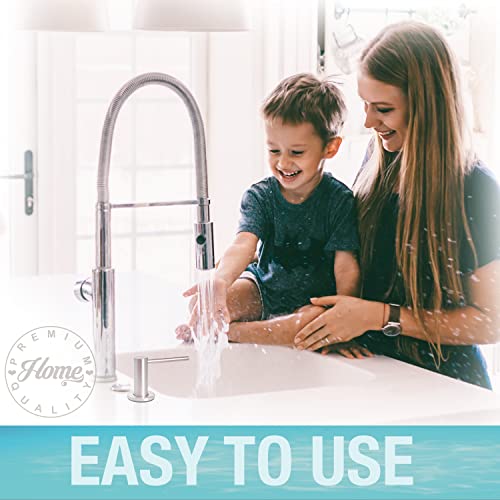 Kitchen Sink Soap Dispenser Pump - Solid Stainless Steel - 17 Ounce Soap Bottle - Dish Soap Dispenser for Kitchen Sink - (Commercial Grade 304 Stainless Steel Pump, Nickel Finish, Rustproof)